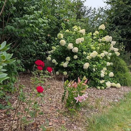 Charming With Large Fenced Garden *