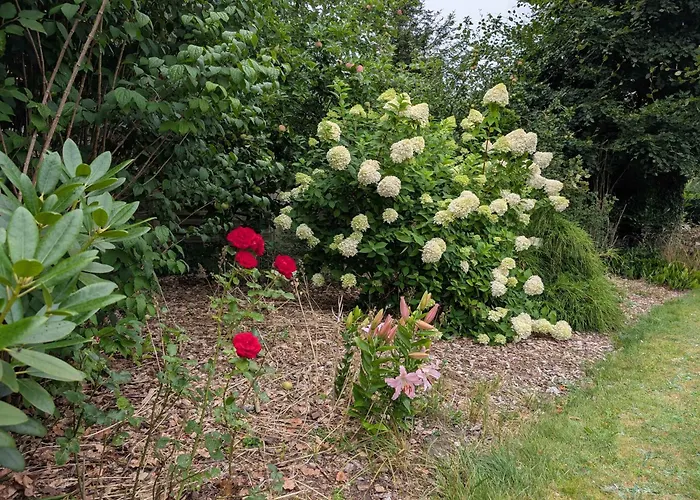 Charming With Large Fenced Garden *